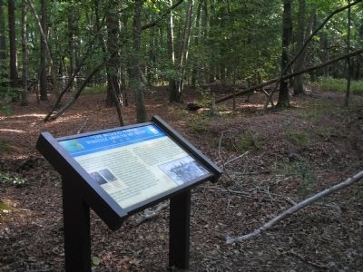 Marker in Newport News Park. Click for full size. Marker in Newport News Park image. Click for full size.