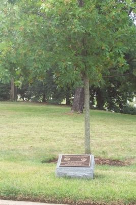 "The Borinqueneers" Marker and memorial tree image. Click for full size.