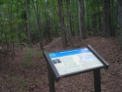 Marker in Newport News Park image. Click for full size.