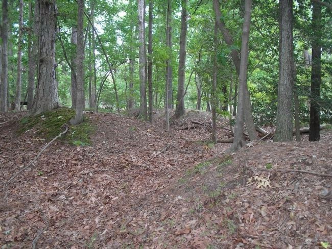 Union Fortifications. Click for full size. Union Fortifications image. Click for full size.