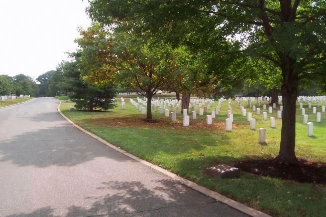 92d Infantry Division marker and memorial tree, lower right (ANC Section 23). Click for full size. 92d Infantry Division marker and memorial tree, lower right (ANC Section 23) image. Click for full size.