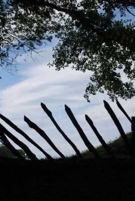Abatis Against a Carolina Blue Sky. Click for full size. Abatis Against a Carolina Blue Sky image. Click for full size.