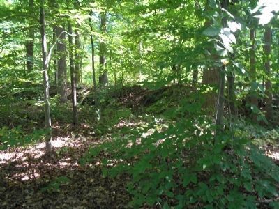 Confederate Earthworks. Click for full size. Confederate Earthworks image. Click for full size.