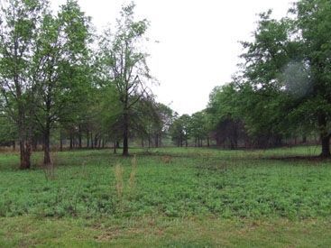 Cow Pasture. Click for full size. Cow Pasture image. Click for full size.