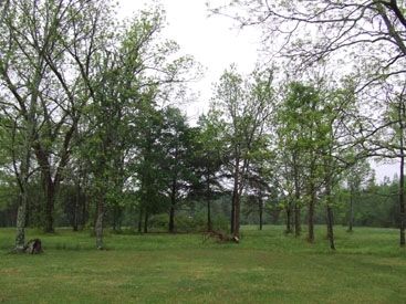 Cow Pasture. Click for full size. Cow Pasture image. Click for full size.