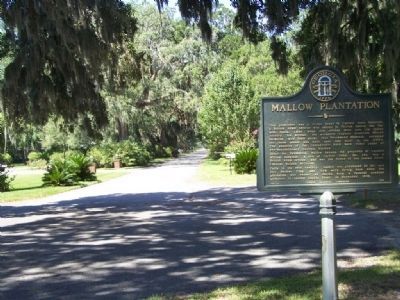 Mallow Plantation Marker, looking back, westward on Pine Harbor Rd. image. Click for full size.