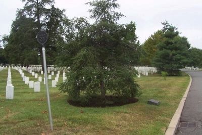 555th Parachute Infantry Battalion marker and memorial tree image. Click for full size.