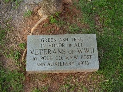WWII Veterans Green Ash Tree Marker image. Click for full size.