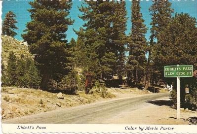 Vintage Postcard - Ebbetts Pass Marker in Background and State Summit Sign image. Click for full size.