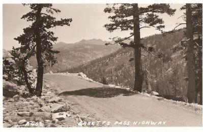 Vintage Postcard - Ebbetts Pass Highway. Click for full size. Vintage Postcard - Ebbetts Pass Highway image. Click for full size.