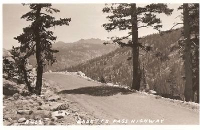 Vintage Postcard - Ebbetts Pass Highway image. Click for full size.