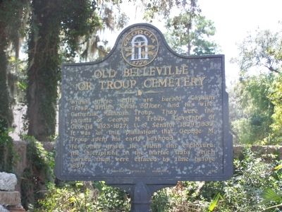 Old Belleville or Troup Cemetery Marker image. Click for full size.