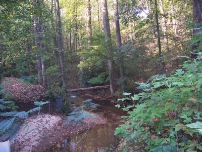 View of the creek that feed the Water Wheel image. Click for full size.