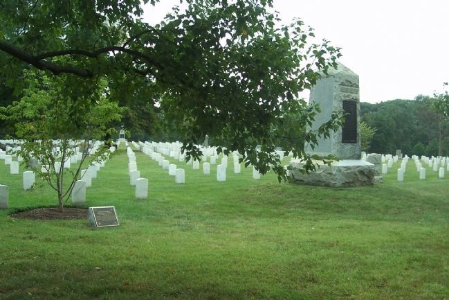 Arlington National Cemetery, Section 22,. Click for full size. Arlington National Cemetery, Section 22, image. Click for full size.
