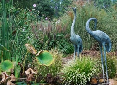 Garden at Park Seed. Click for full size. Garden at Park Seed image. Click for full size.