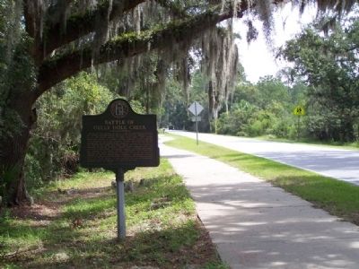 Battle of Gully Hole Creek Marker looking east on Frederica Road image. Click for full size.
