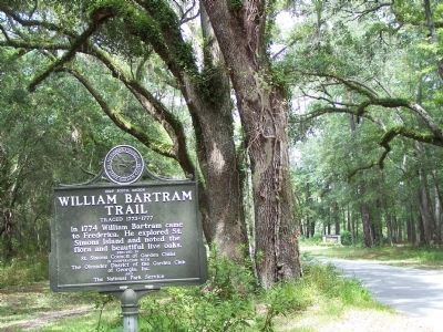William Bartram Trail Marker, lookin west on Mimosa Dr image. Click for full size.