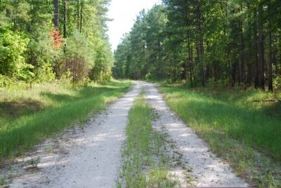 Old Charleston Road (SC 33-113) image. Click for full size.