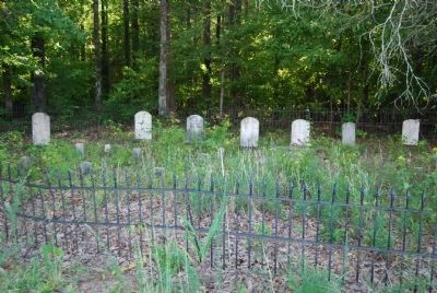 Guillebeau Cemetery. Click for full size. Guillebeau Cemetery image. Click for full size.