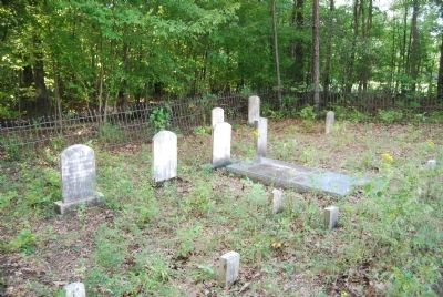 Guillebeau Cemetery. Click for full size. Guillebeau Cemetery image. Click for full size.