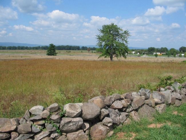 Section of Stone Wall on Cemetery Ridge image. Click for full size.