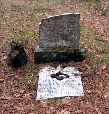 Pioneer Cemetery Headstones image. Click for full size.