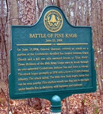 Battle of Pine Knob Marker image. Click for full size.