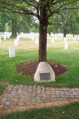 Memorial to US Airmen killed in Denmark Marker and memorial tree image. Click for full size.