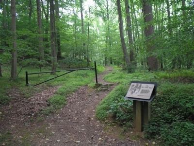 The Old Camp Road. Click for full size. The Old Camp Road image. Click for full size.