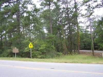 Sherman's Right Wing Marker, along US 280 image. Click for full size.