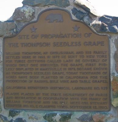 Site of Propagation of the Thompson Seedless Grape Marker image. Click for full size.