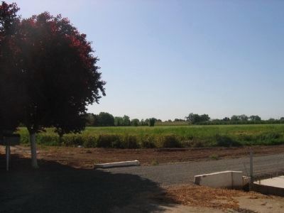Site of Propagation of the Thompson Seedless Grape image. Click for full size.