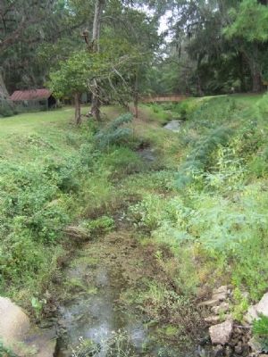 Some remains of the Ogeechee Canal in the Richmond Hill area. Click for full size. Some remains of the Ogeechee Canal in the Richmond Hill area image. Click for full size.