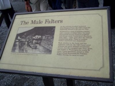 The Mule Falters Marker image. Click for full size.