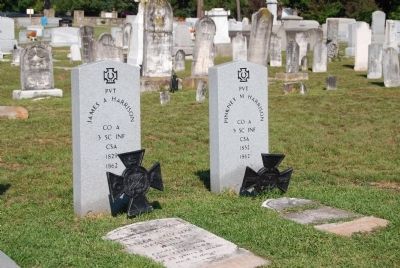 James A. and Pinkney M. Harrison Tombstones image. Click for full size.