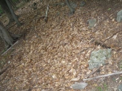 The Trash Pit. Click for full size. The Trash Pit image. Click for full size.