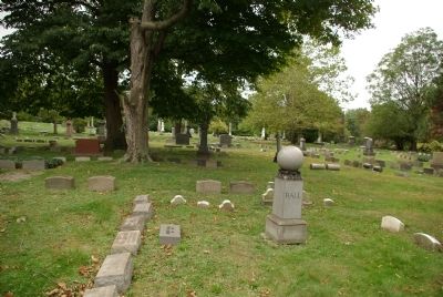 Ball family plot. Click for full size. Ball family plot image. Click for full size.