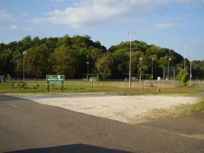 Ball Fields. Click for full size. Ball Fields image. Click for full size.