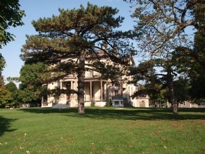 Unsual Tree and  Davis Mansion image. Click for full size.