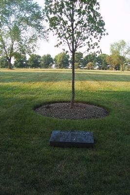 Operation Restore Hope Marker and memorial tree, ANC Section 60 image. Click for full size.