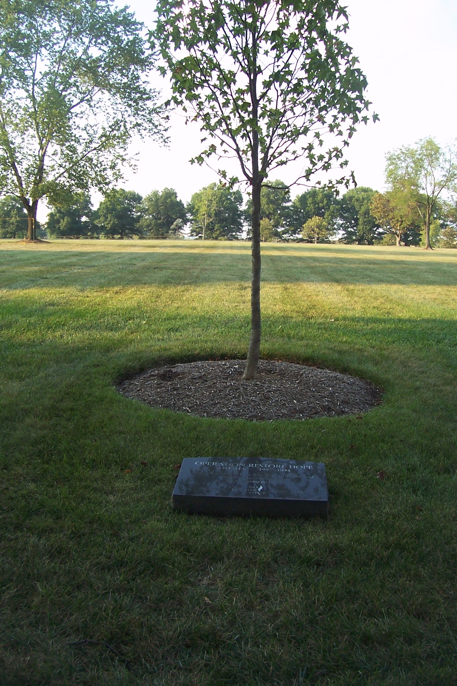 Operation Restore Hope Marker and memorial tree, ANC Section 60