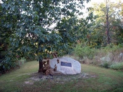 Whitley Mill and Dam Marker - Under a Tree image. Click for full size.