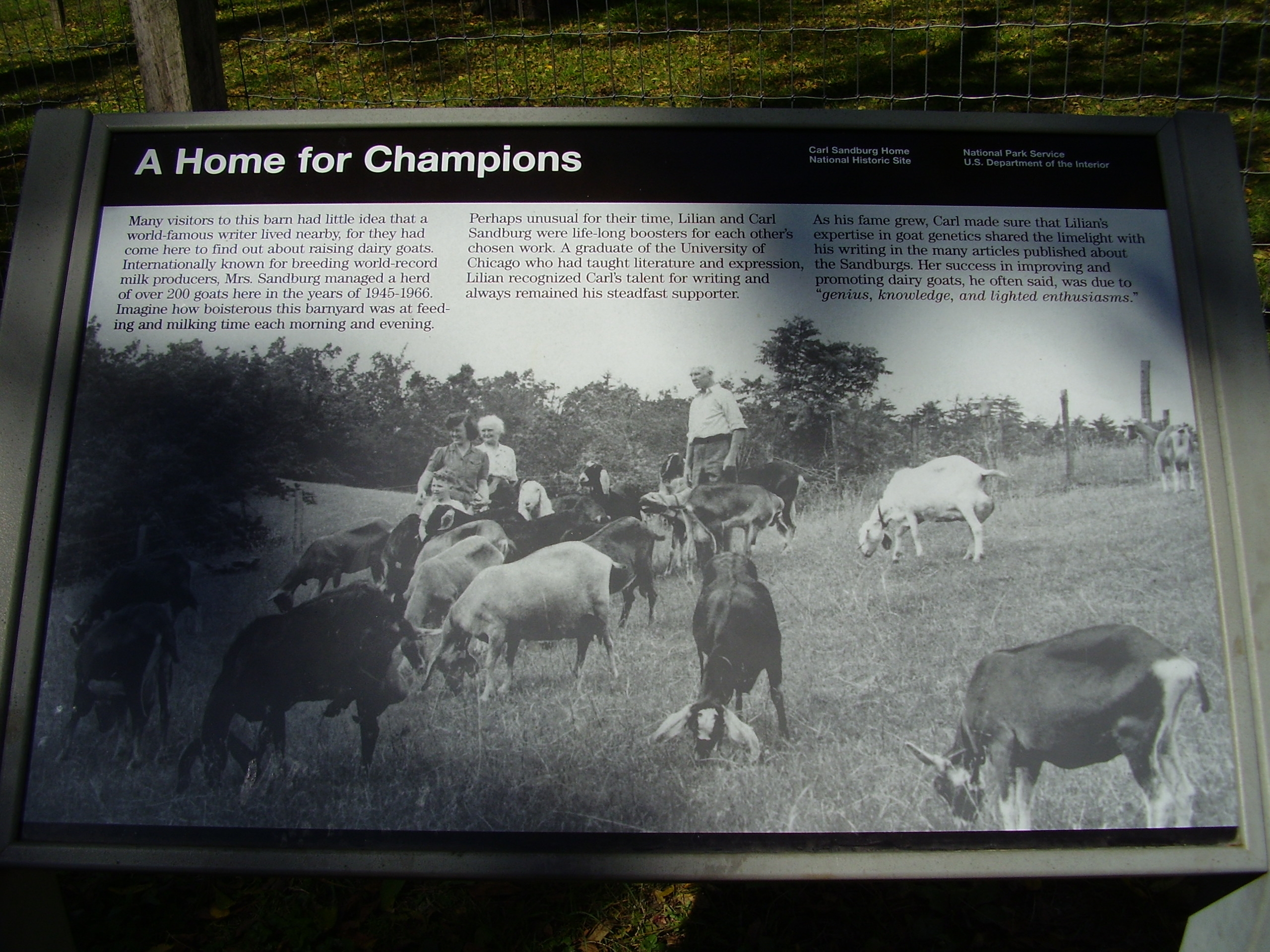 A Home of Champions Marker
