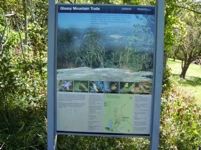Glassy Mountain Trails Marker image. Click for full size.