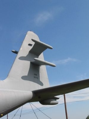 Tail Antennas image. Click for full size.