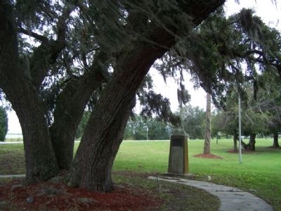Lanier's Oak Marker. Click for full size. Lanier's Oak Marker image. Click for full size.