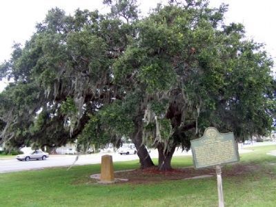 Lanier's Oak Marker under the tree, with another marker at right image. Click for full size.