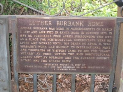Luther Burbank Home Marker. Click for full size. Luther Burbank Home Marker image. Click for full size.
