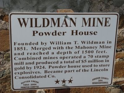 Wildman Mine Marker image. Click for full size.