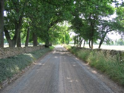 Country Lane in Battle Area image. Click for full size.